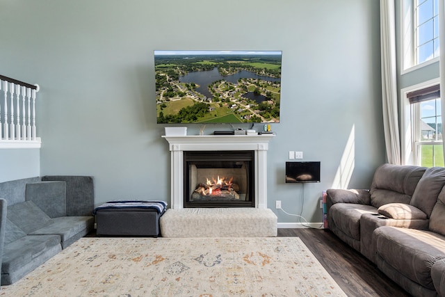 10501 Somerset Rd, Cement City, MI 49233 - living area featuring dark wood-style floors and a glass covered fireplace
