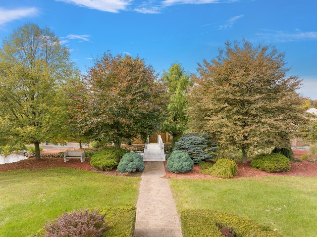 4700 Raap Rd, Bruce, MI 48065 - view of grassy yard
