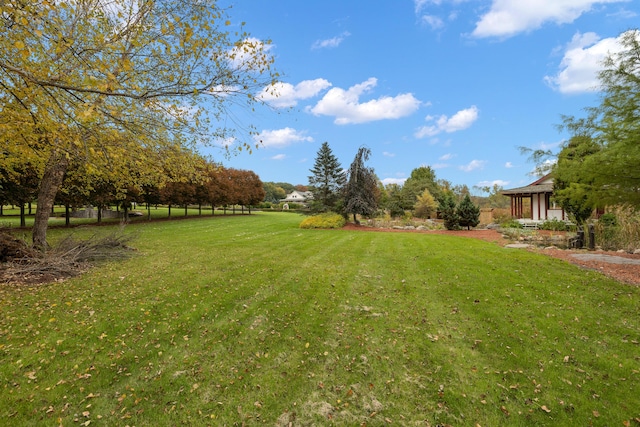 4700 Raap Rd, Bruce, MI 48065 - view of grassy yard