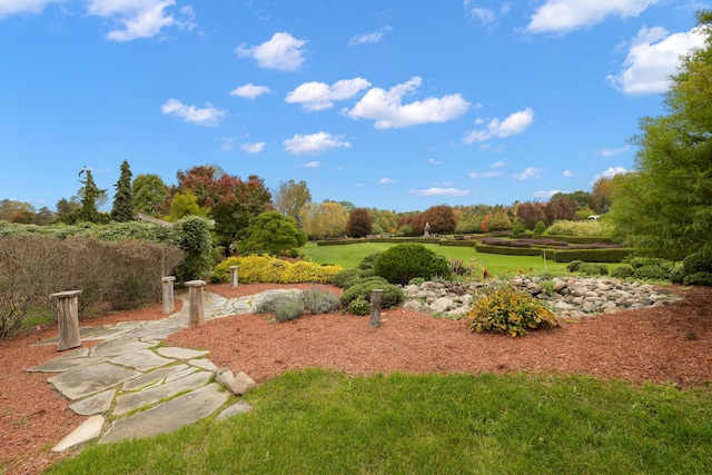 4700 Raap Rd, Bruce, MI 48065 - view of grassy yard