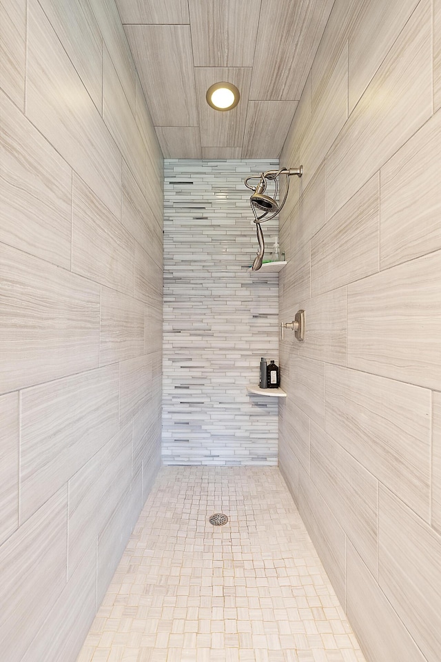 4700 Raap Rd, Bruce, MI 48065 - bathroom with tiled shower