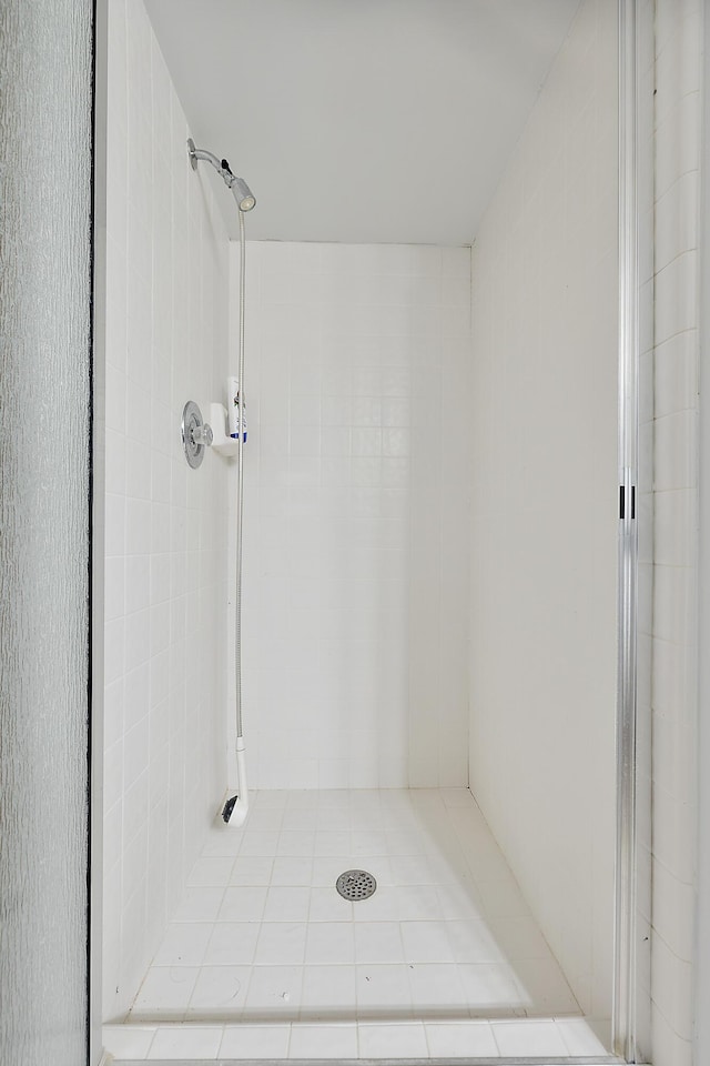4700 Raap Rd, Bruce, MI 48065 - bathroom featuring a stall shower and tile patterned flooring