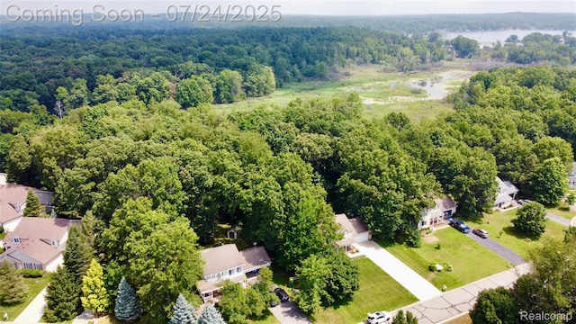 2415 Spartans Trl, Pinckney, MI 48169 - photo 49
