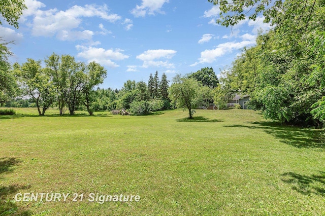 7320 N River Rd, Freeland, MI 48623 - view of grassy yard featuring view of wooded area