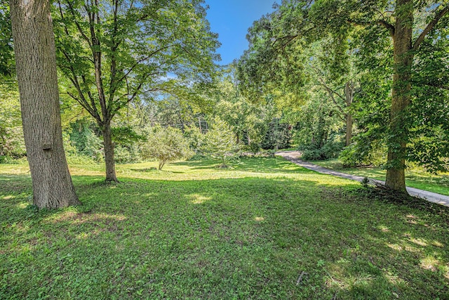 1505 Platt St, Niles, MI 49120 - view of green lawn
