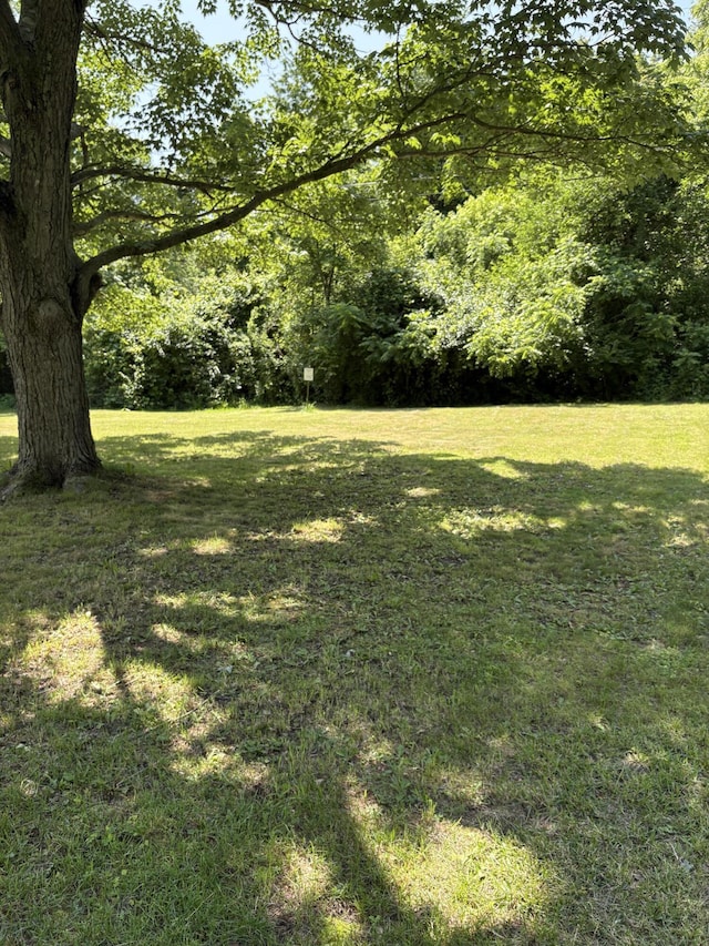 1596 Kay Dr, Benton Harbor, MI 49022 - view of grassy yard