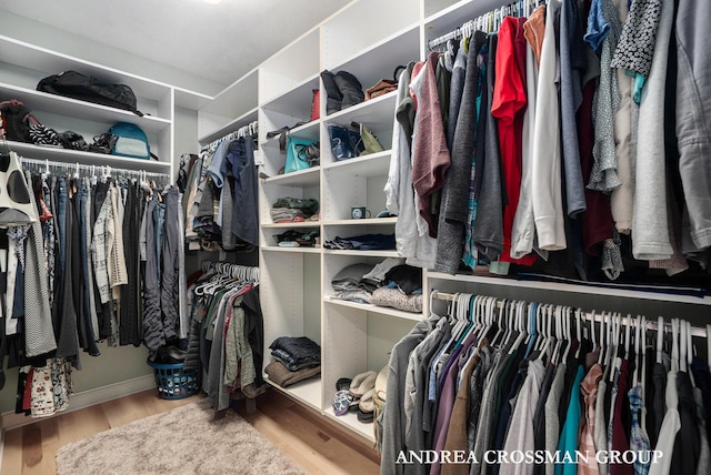 41 Bay Meadows Dr, Holland, MI 49424 - walk in closet with wood finished floors