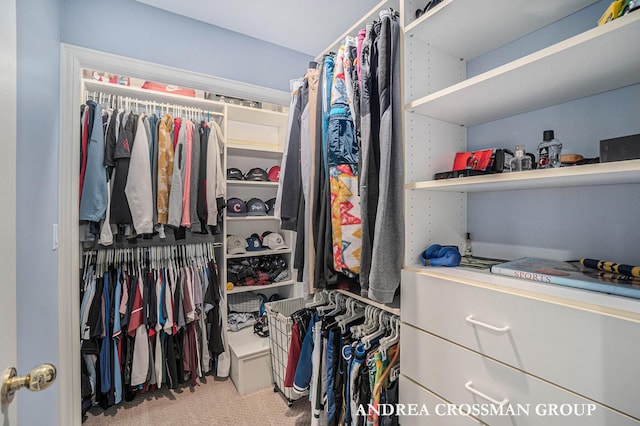 41 Bay Meadows Dr, Holland, MI 49424 - spacious closet featuring carpet