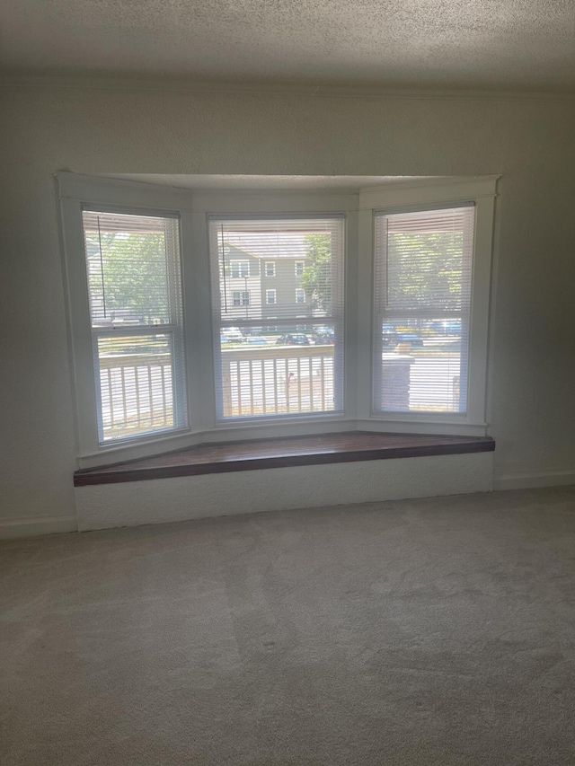 515 Hall St SE, Grand Rapids, MI 49507 - carpeted spare room featuring a textured ceiling and plenty of natural light