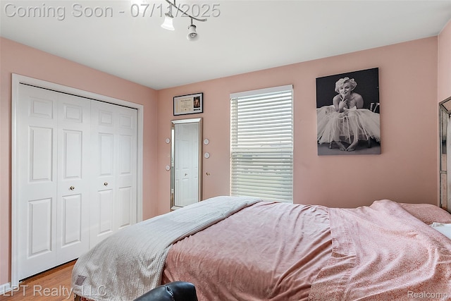 17952 Marsal Dr, Macomb, MI 48042 - bedroom with wood finished floors and a closet