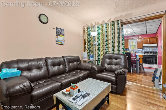 3831 Casmere St, Hamtramck, MI 48212 - living room featuring light wood finished floors and a textured ceiling