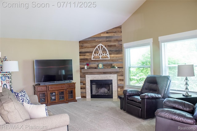 9180 Springwood Ct, Howell, MI 48843 - photo 10