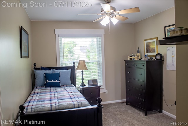 9180 Springwood Ct, Howell, MI 48843 - photo 13