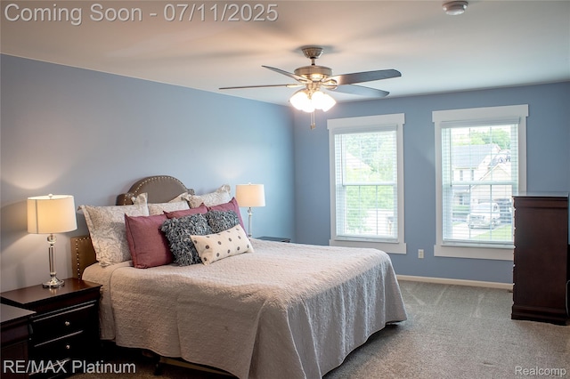 9180 Springwood Ct, Howell, MI 48843 - photo 17