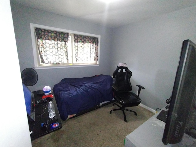 3539 14th St, Wyandotte, MI 48192 - bedroom with carpet