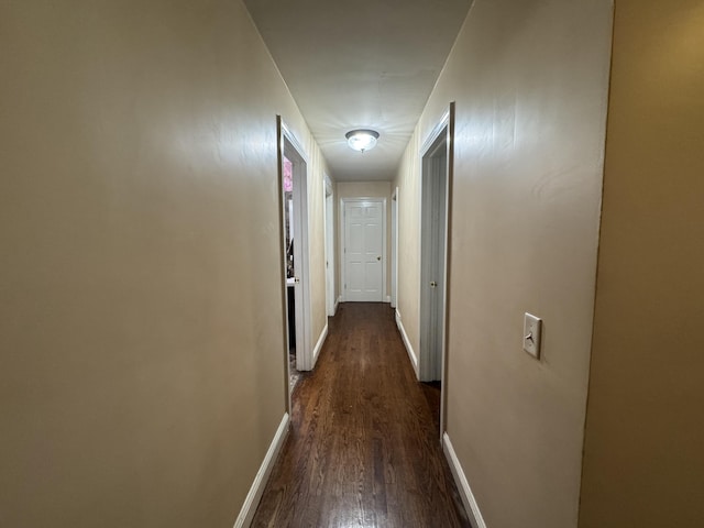 2728 Brook Dr, Kalamazoo, MI 49004 - corridor with dark wood finished floors and baseboards