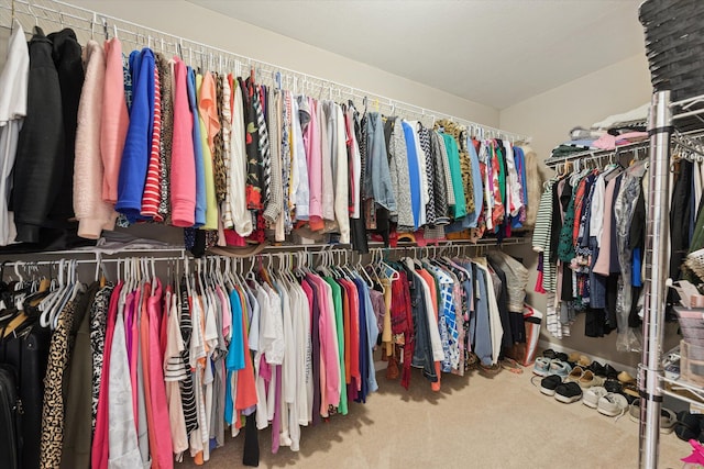 58852 Silvergrass Dr, Mattawan, MI 49071 - walk in closet with carpet