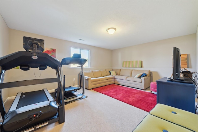 58852 Silvergrass Dr, Mattawan, MI 49071 - workout area featuring carpet floors