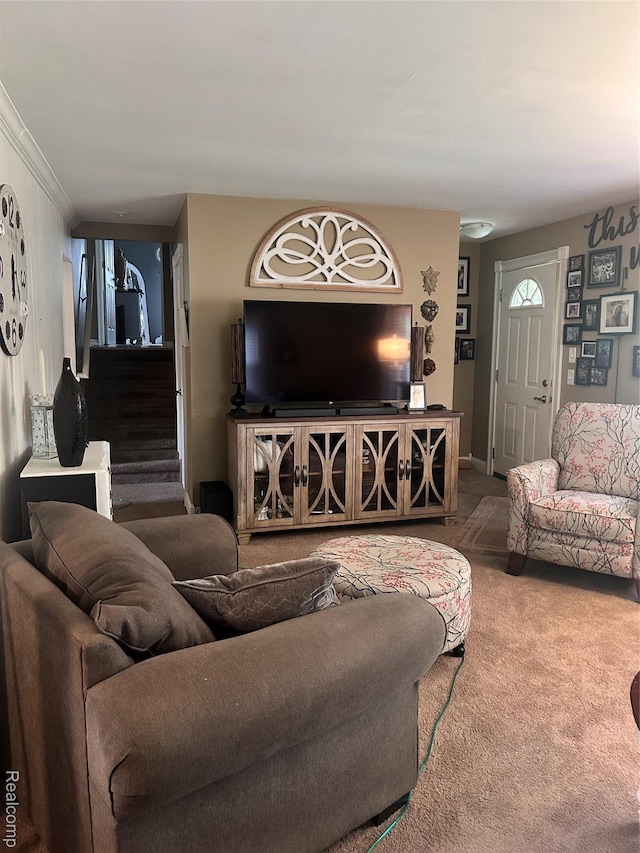 305 Goldengate St, Lake Orion, MI 48362 - carpeted living area with ornamental molding and baseboards