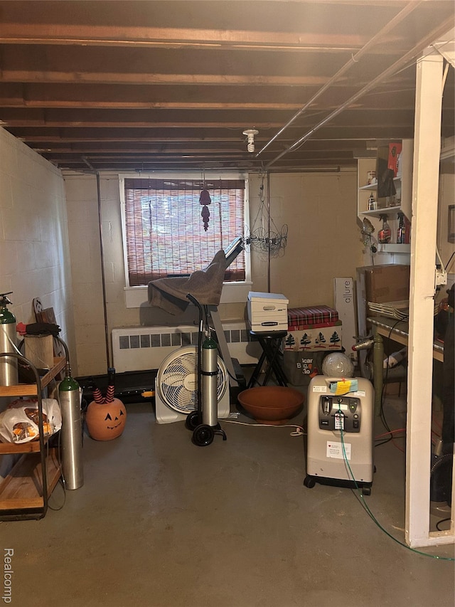 305 Goldengate St, Lake Orion, MI 48362 - below grade area with concrete block wall