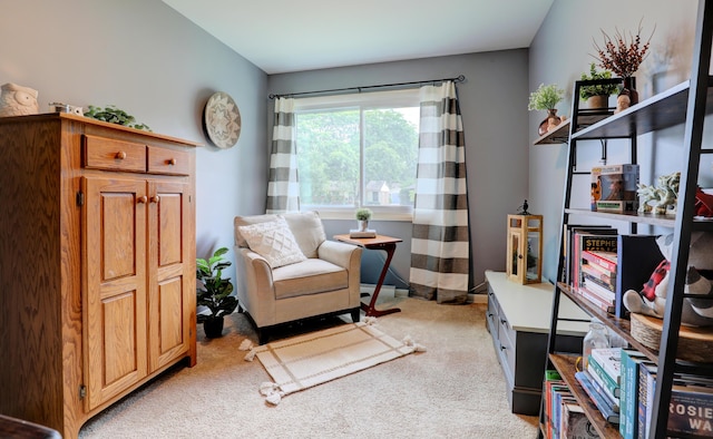 1441 Lewison Ave NE, Grand Rapids, MI 49505 - sitting room with light carpet