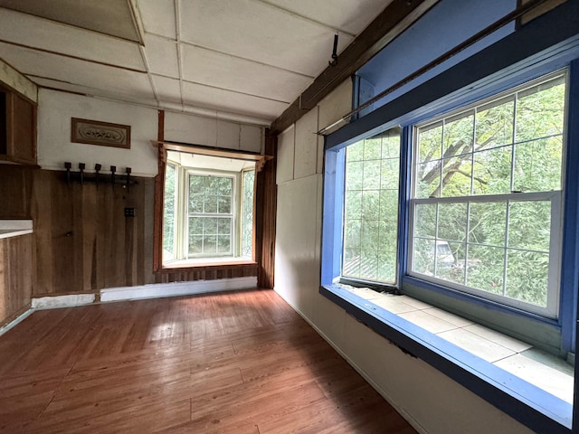 521 N 3rd St, Niles, MI 49120 - unfurnished room with wood walls and wood finished floors