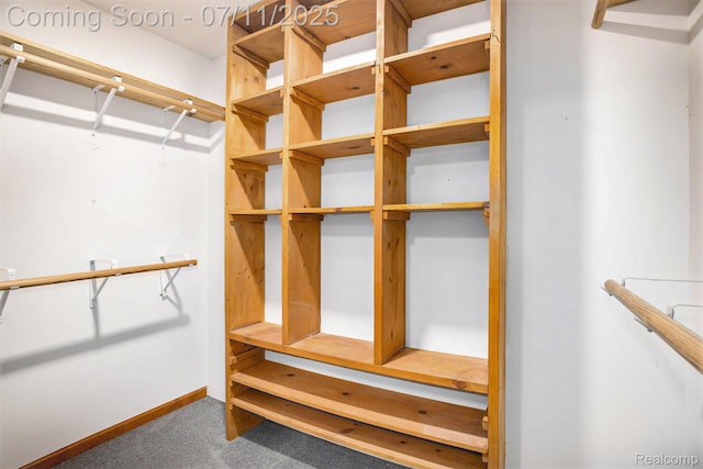 161OXBOW Oxbow Lake Rd, White Lake, MI 48386 - spacious closet featuring carpet