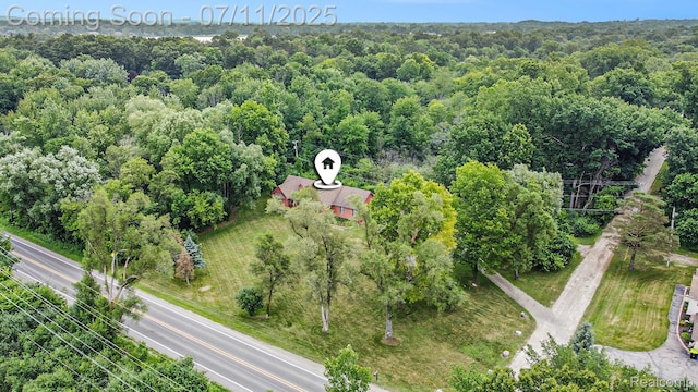 161OXBOW Oxbow Lake Rd, White Lake, MI 48386 - bird's eye view of a forest