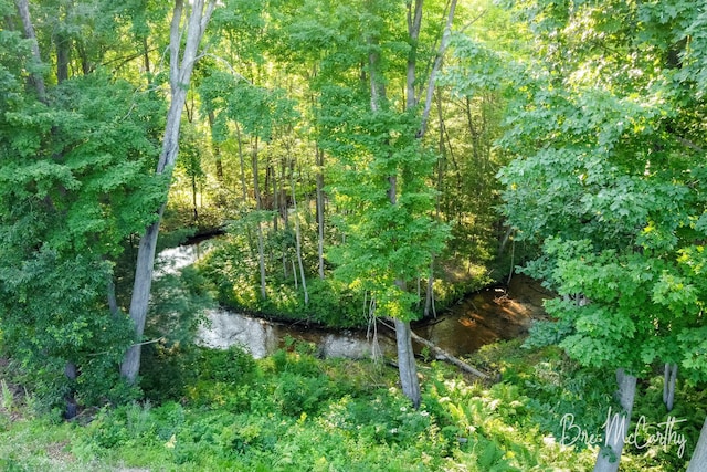 68 E River Rd, Muskegon, MI 49445 - view of local wilderness