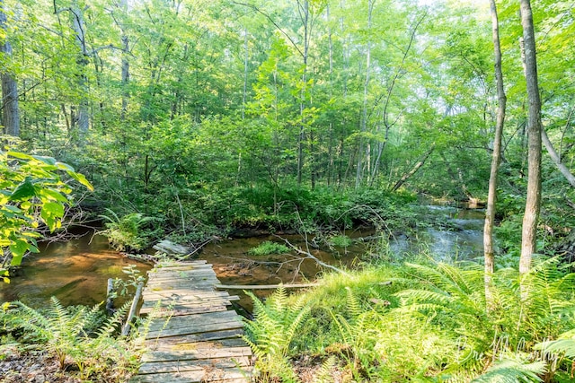 68 E River Rd, Muskegon, MI 49445 - view of undeveloped land
