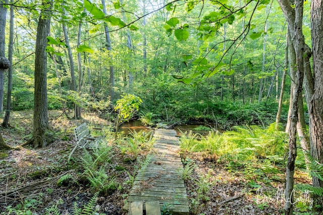 68 E River Rd, Muskegon, MI 49445 - view of woods
