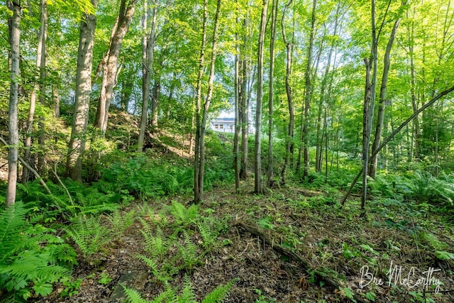 68 E River Rd, Muskegon, MI 49445 - view of tree filled area