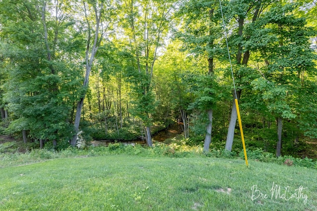 68 E River Rd, Muskegon, MI 49445 - view of yard