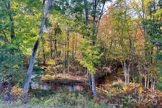 68 E River Rd, Muskegon, MI 49445 - view of nature