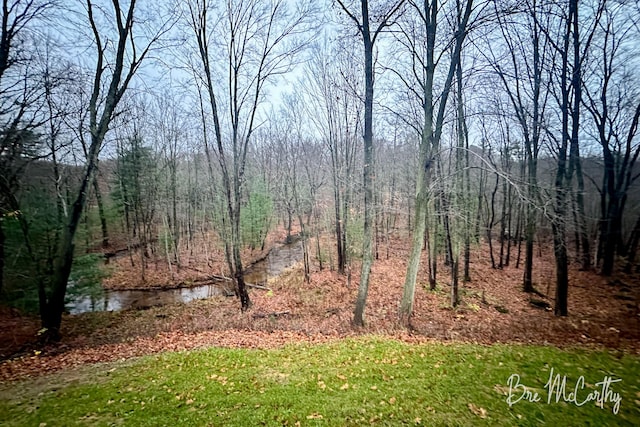 68 E River Rd, Muskegon, MI 49445 - view of yard