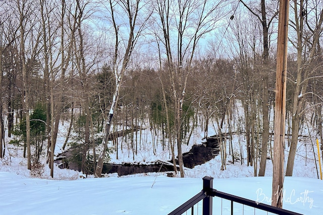 68 E River Rd, Muskegon, MI 49445 - view of snowy yard