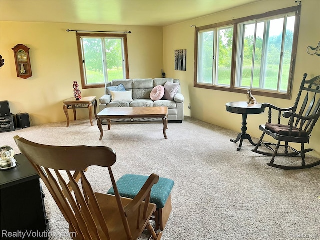 4025 Barth Dr, Mussey, MI 48014 - photo 9
