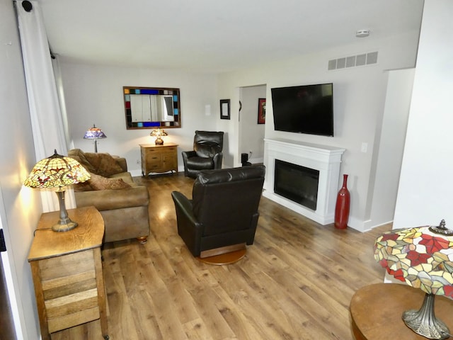 630 Forest St, Wyandotte, MI 48192 - living room featuring light wood-style flooring and a glass covered fireplace
