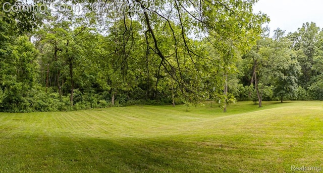 5074 Perryville Rd, Holly, MI 48442 - view of grassy yard