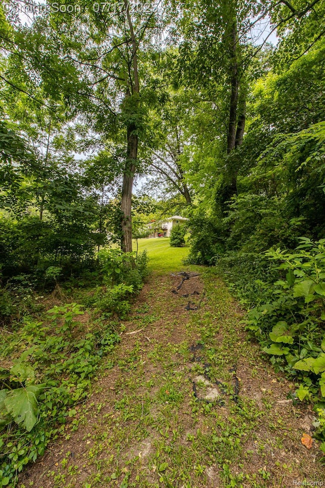 5074 Perryville Rd, Holly, MI 48442 - view of yard