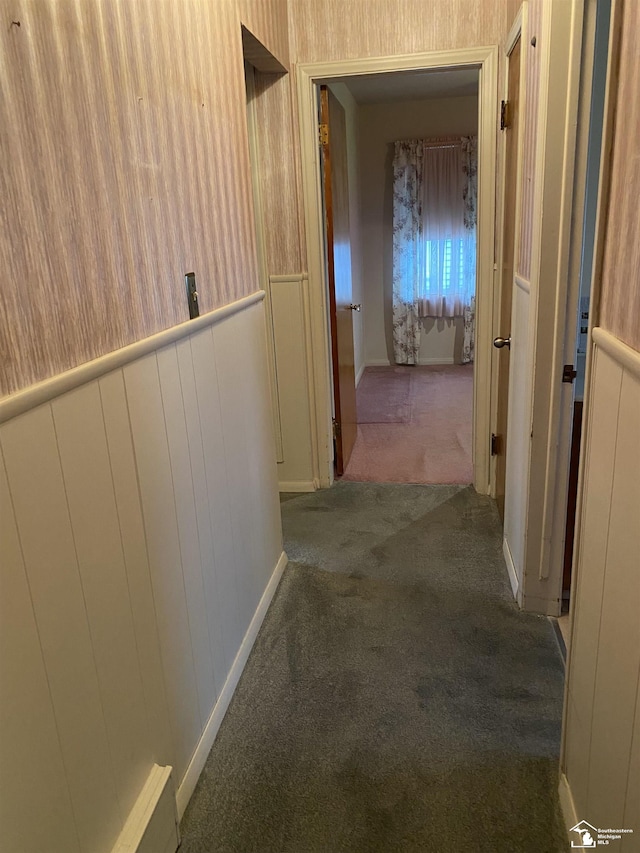 3897 15th St, Wyandotte, MI 48192 - hall featuring carpet floors and a wainscoted wall