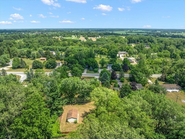 9950 Carpenter Rd, Milan, MI 48160 - drone / aerial view of a forest
