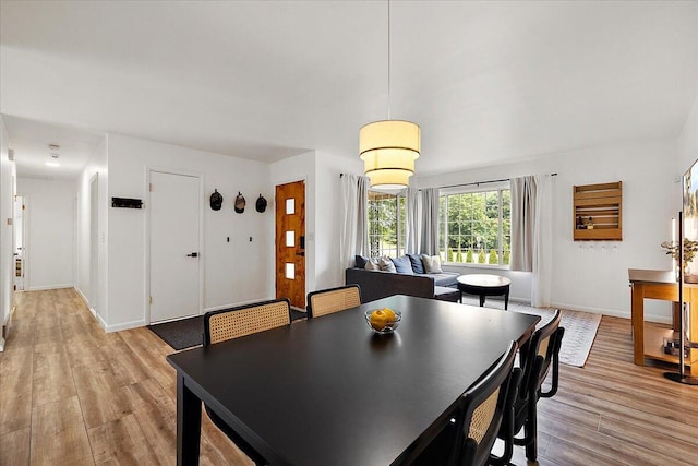 9950 Carpenter Rd, Milan, MI 48160 - dining space featuring light wood-style floors and baseboards