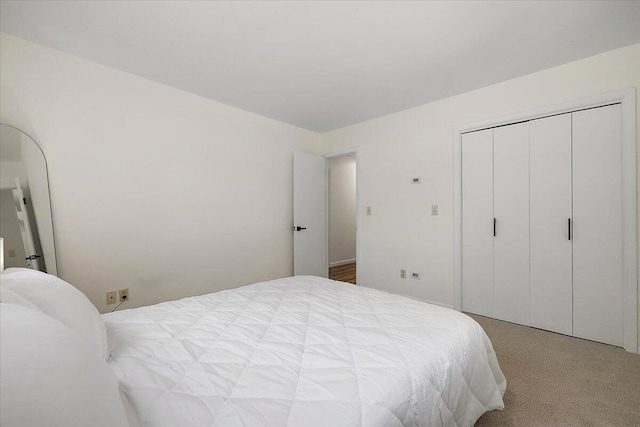 9950 Carpenter Rd, Milan, MI 48160 - bedroom featuring carpet flooring and a closet