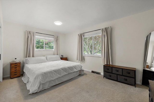 9950 Carpenter Rd, Milan, MI 48160 - carpeted bedroom with baseboards