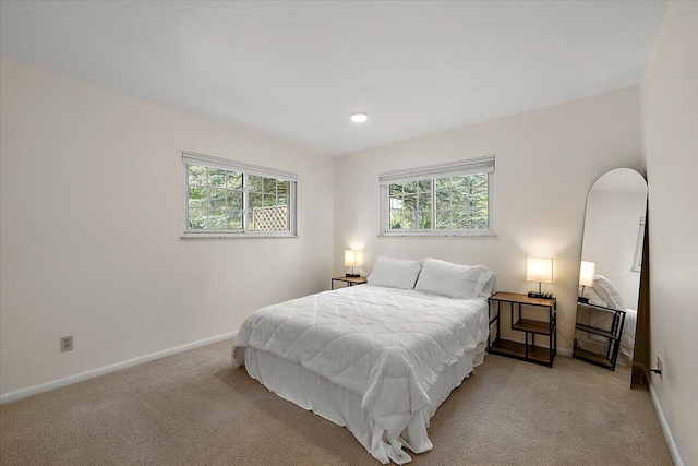 9950 Carpenter Rd, Milan, MI 48160 - bedroom featuring carpet floors, multiple windows, and recessed lighting