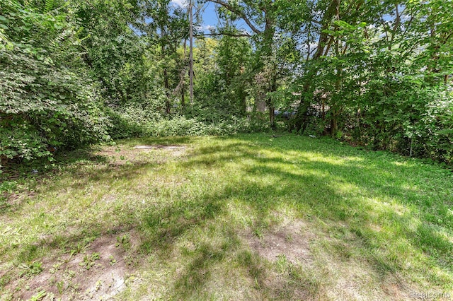 16934 Pembroke Ave, Detroit, MI 48235 - view of yard
