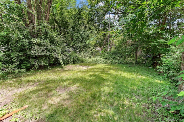 16934 Pembroke Ave, Detroit, MI 48235 - view of grassy yard