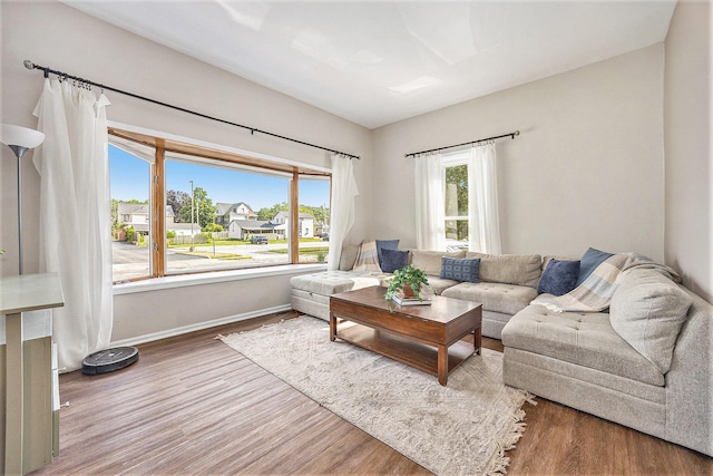 416 Kent St, Lowell, MI 49331 - living room featuring wood finished floors