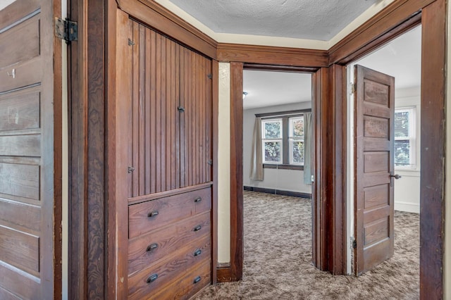 843 Center St, Jackson, MI 49202 - hall featuring carpet and a textured ceiling
